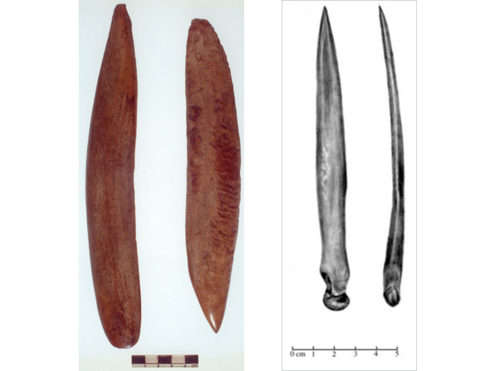On the left, two red antler pieces shaped into a pick and wedge. On the right, a charcoal drawing of a bone awl.