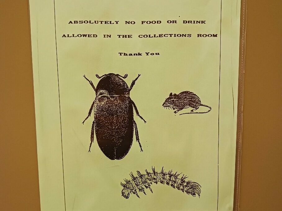 A sign in a plastic sleeve with images of a beetle, mouse, and caterpillar beneath text reading, “ABSOLUTLEY NO FOOD OR DRINK ALLOWED IN THE COLLECTIONS ROOM / Thank You”.