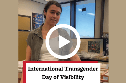 A screenshot of a video, an individual standing in a lab speaks to the camera. There's a play button over the screenshot and overlaid text reads, "International Transgender Day of Visibility".