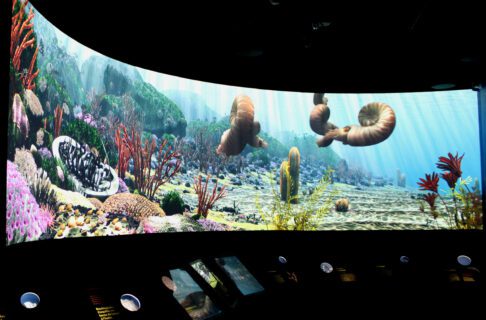 A large, colourful screen shows animations of a variety of extinct marine life forms. Below the screen are small cases, text, and graphics.