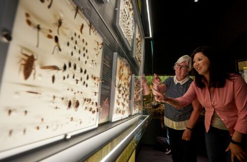 Two women standing in front of a case of pinned insects, smiling and pointing at the exhibit.