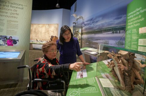 Two adults, one of whom is in a wheelchair, engaging with a Museum display. One points out an artifact in a glass display case to the other.