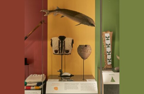 A museum display case with a yellow background containing a fish specimen, a fur vest, a clay pot, and a duck decoy.