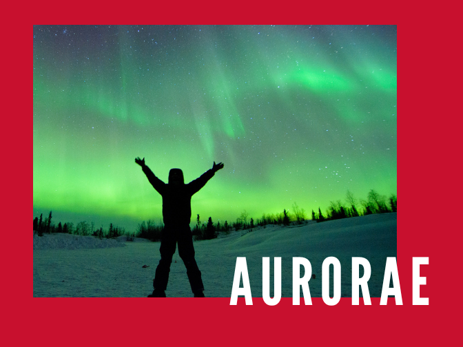 A photograph of a silhouetted figure standing outdoors with both arms raised as they face a night sky full of bright green northern lights on a red background. Overlaid text on the sky reads, "Aurorae".