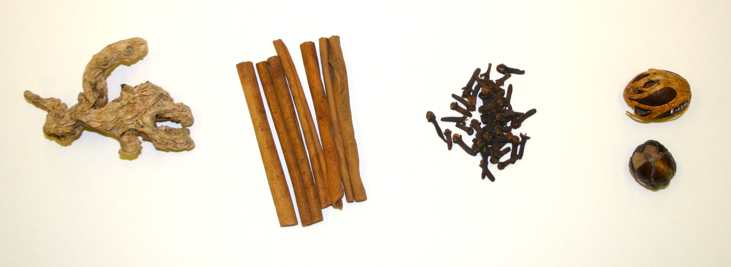Photograph of four ingredients laid out on a surface. From left to right: ginger, cinnamon, cloves, and nutmeg.