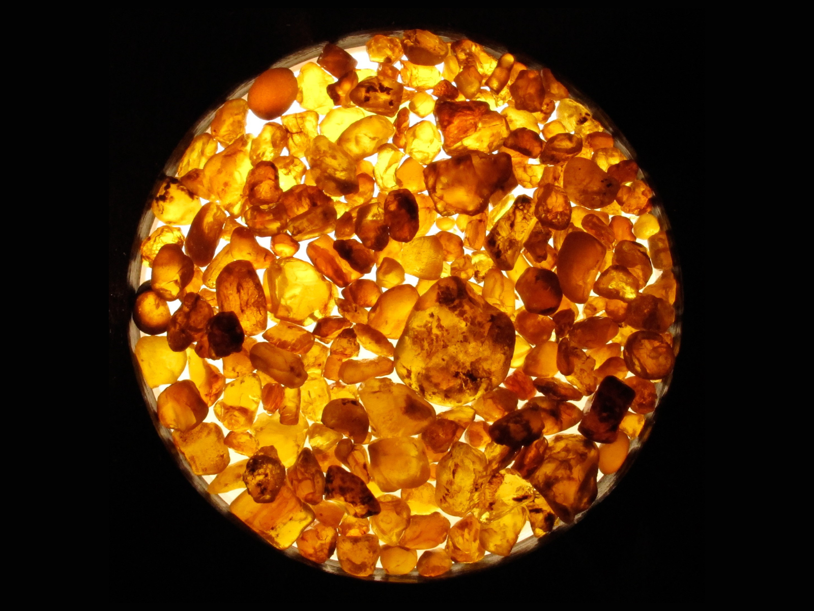 View through a microscope looking at a circle of pieces of gold-orange amber, lit from below.