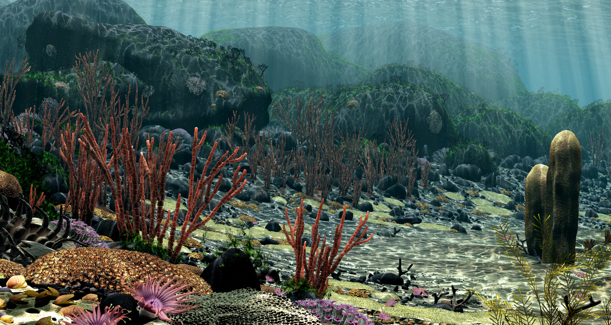 Close-up of underwater boulder field in Ancient Seas video exhibit.