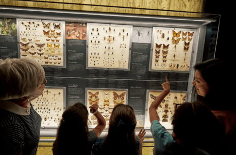 Two women and three children standing in front of a display of pinned insects, pointing at the exhibit.