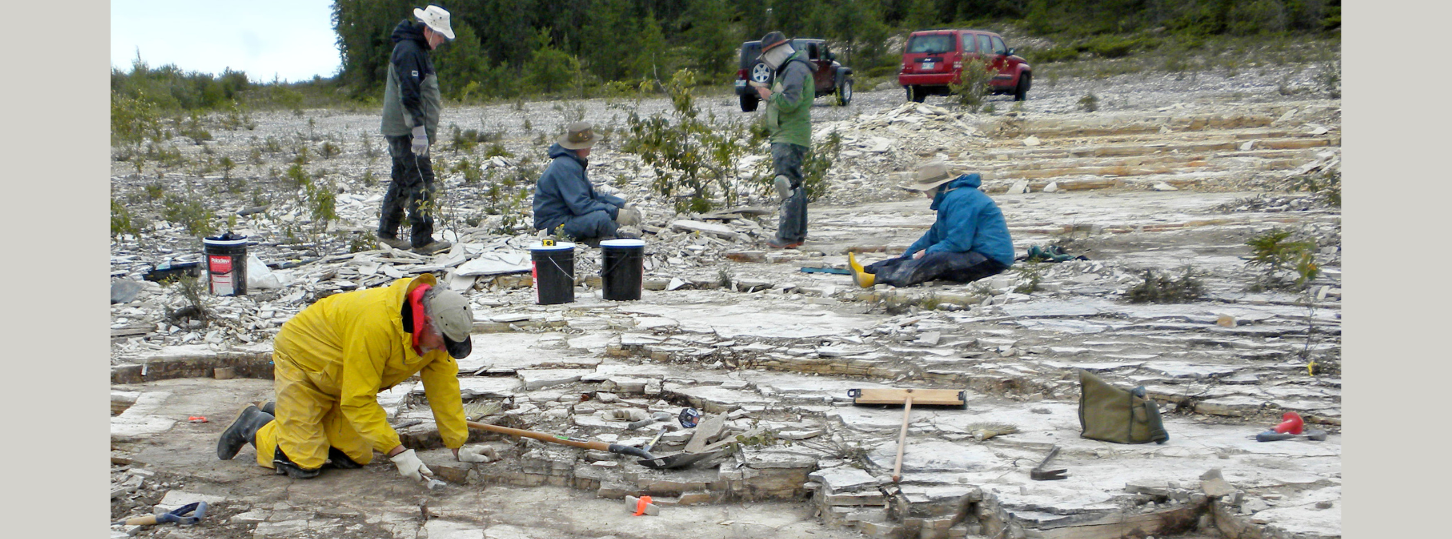 A group of five people dressed in rain gear, boots, and hats crawl on a limestone bedrock surface, hammering and levering fossils from the surface.