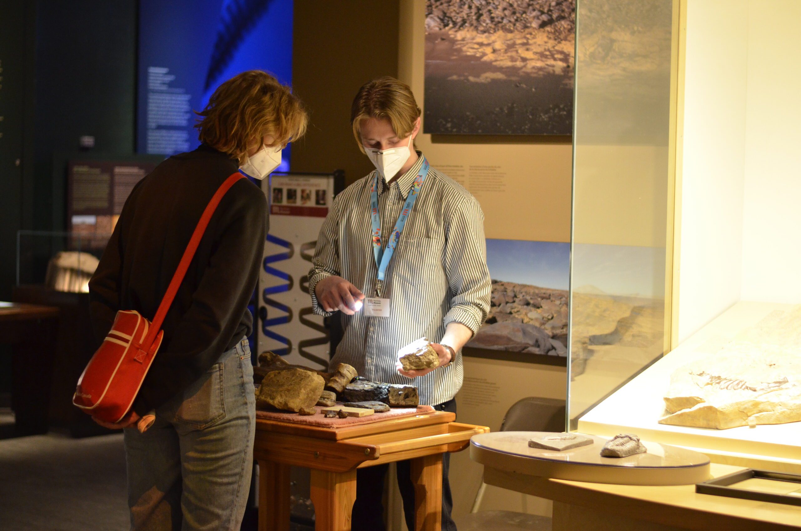 A Museum Volunteer standing behind a rolling cart containing a number of fossil specimens. The Volunteer is shining a flashlight on one specimen, showing the fossil to a visitor.
