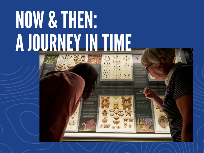 Photograph of two adults looking into a butterflies and insects display case on a blue background. Text reads, "Now & Then / A Journey in Time".