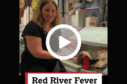 A screenshot of a video, an individual kneels, gesturing to a glass display case in the Museum Galleries, speaking towards the camera. There's a play button over the screenshot and overlaid text reads, "Red River Fever".