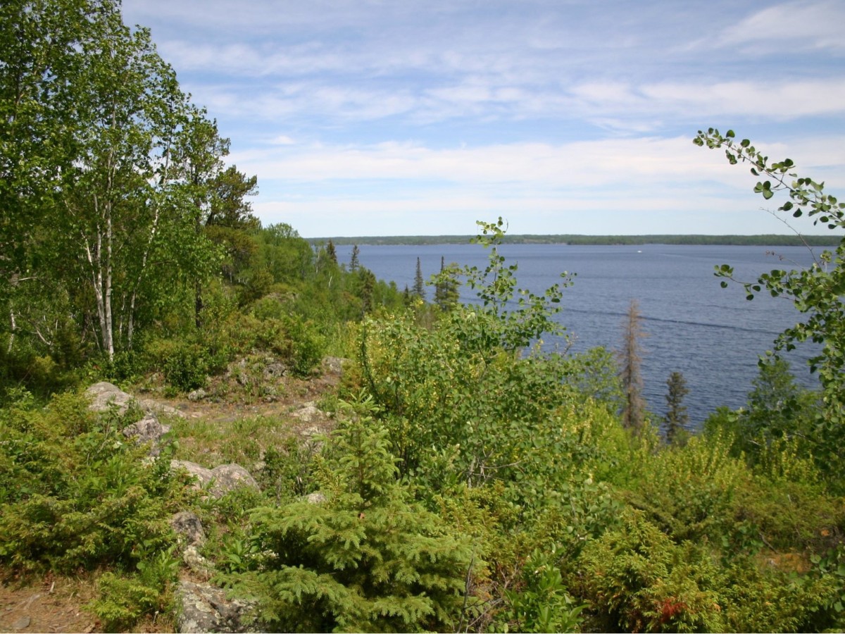 Photograph looking along the dense upper shoreline of a lake on a sunny day. Trees and bushes are green with leaves, with large rocks interspersedly visible.