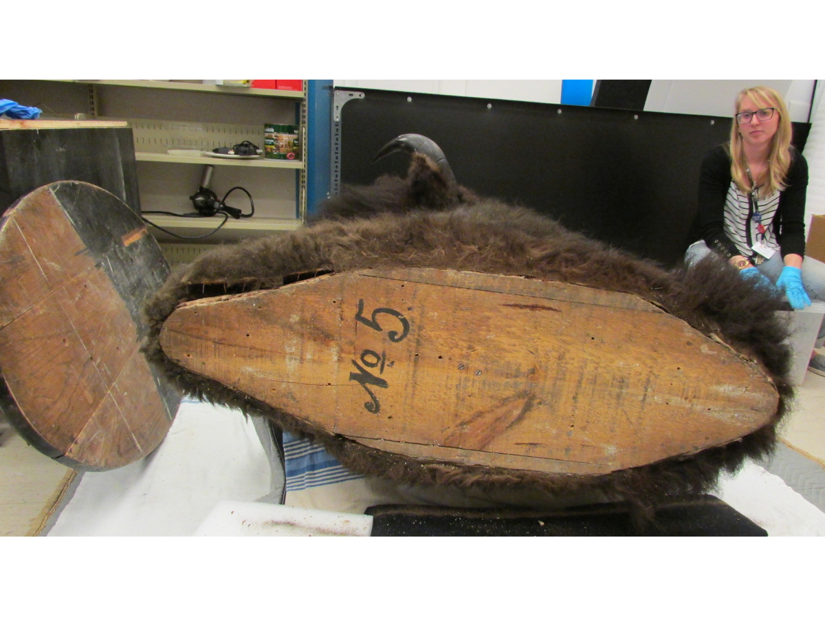 The backside of a mounted bison head with the backboard removed. On the baseboard of the head is written, “No. 5”. Conservator Carolyn Sirett sits to the side in the upper right corner.