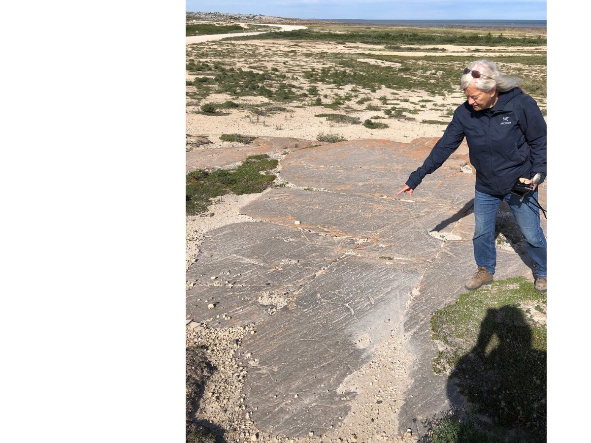Dr. Maureen Matthews staning at the right edge of the frame on a large flat rock in the ground with scratch or scrape-like markings along it.