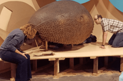 Two individuals sit either side of the Glyptodont watching as another individual works lying on the display platform under the shell.