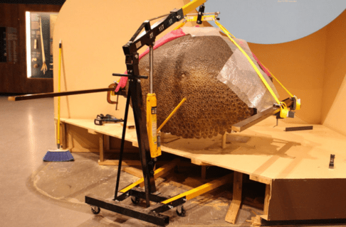 The Glyptodont shell from the side with beams under it and strapped either side of it ready to be lifted off its platform using an enginge hoist.
