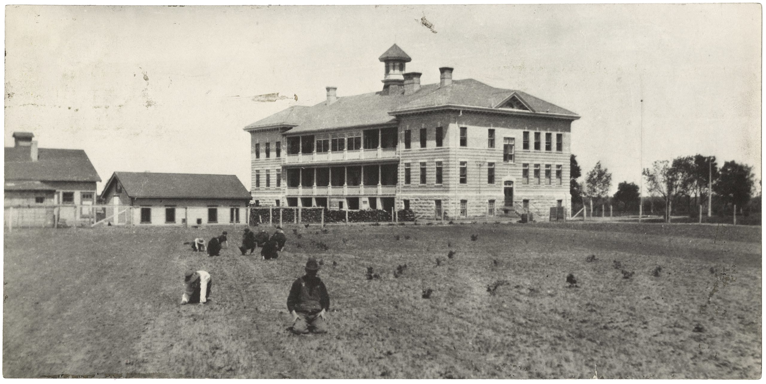 Several people kneeling in a farmed field in front of a large, multi-storey building with several smaller buildings to the side.