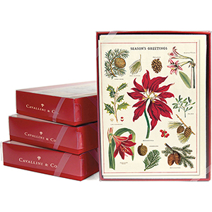 Botanica Boxed Notes