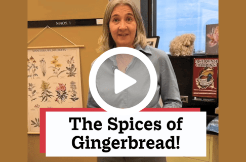 A screenshot of a video, an individual standing in a museum lab. There's a play button over the screenshot and overlaid text reads, "The Spices of Gingerbread!".