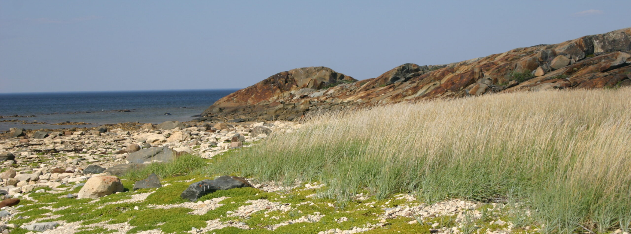 Photograph of a rocky and grassy shoreline with reddish-brown rocks in the background.