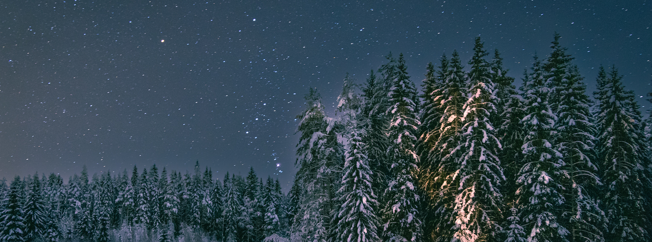 A starry sky over a winter forest scene. The constellation Orion is rising,