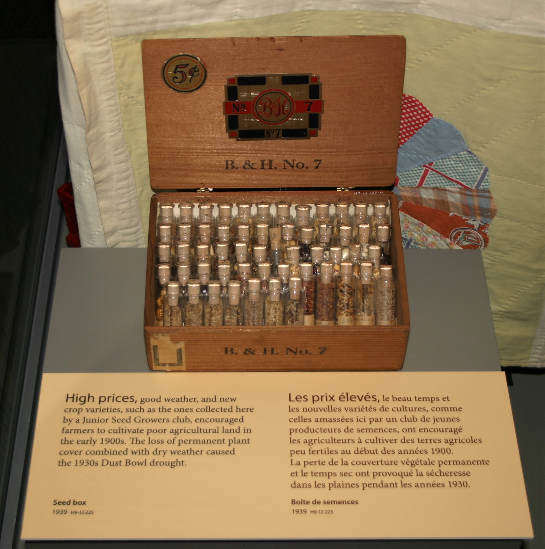 A small wooden chest containing rows of vials filled with seeds.