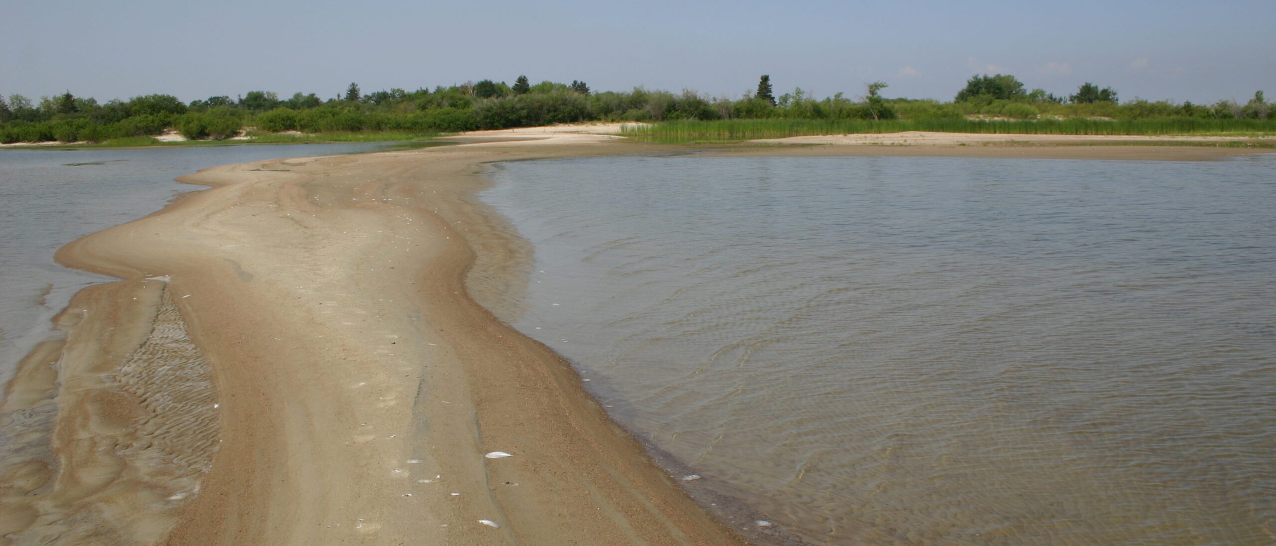 Looking down a emerging sandbar toward a section of wooded land. Water flows either side of the sand bar.