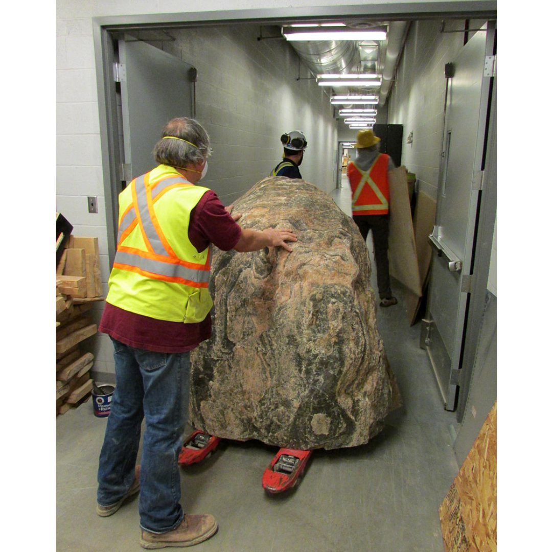 Three individuals in high-vis vests guide a large boulder secured on a pallet jack down a hallway.