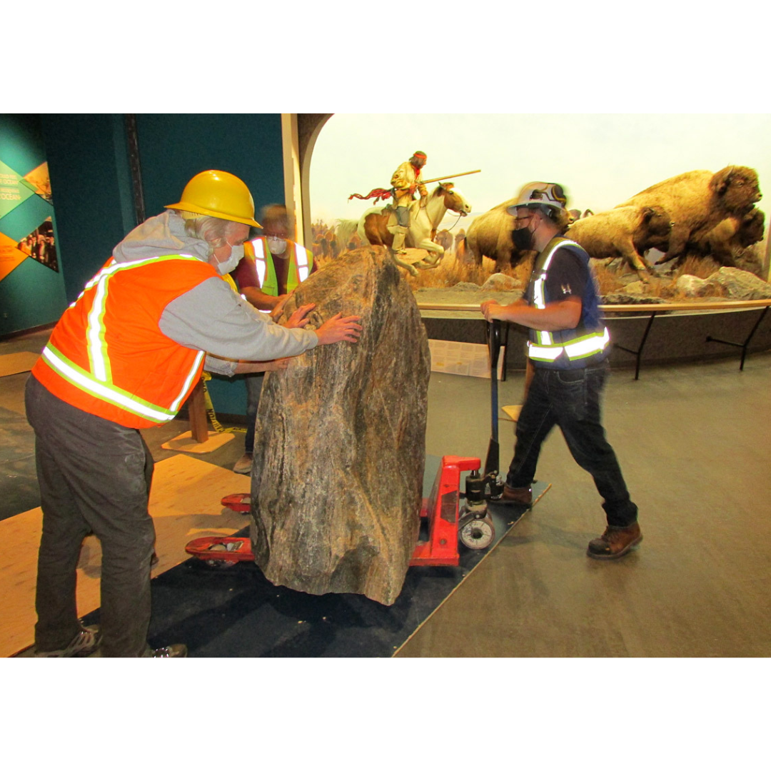 Three individuals in high-vis vests maneuver a large boulder secured on a pallet jack through the Welcome Gallery, past the Bison Diorama.