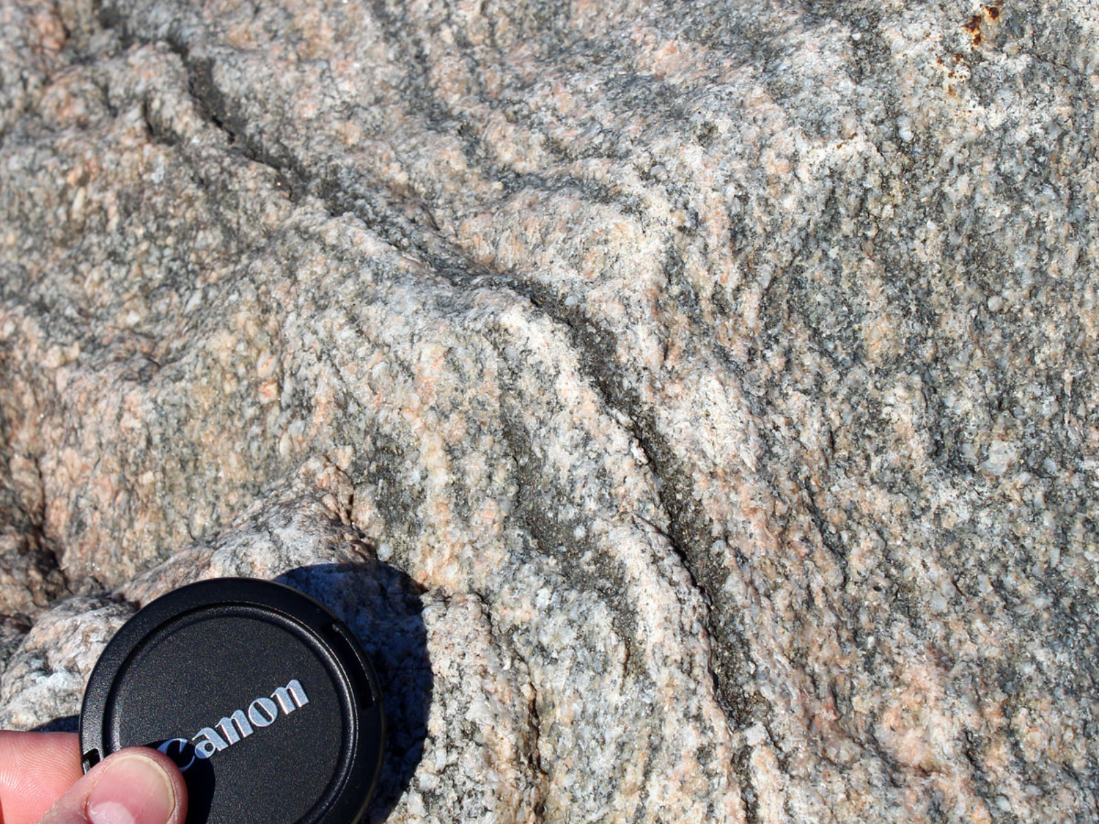 Close up on the detail and texture of a large mottled stone. In the bottom left corner a hand holds a lens cap into frame for scale.
