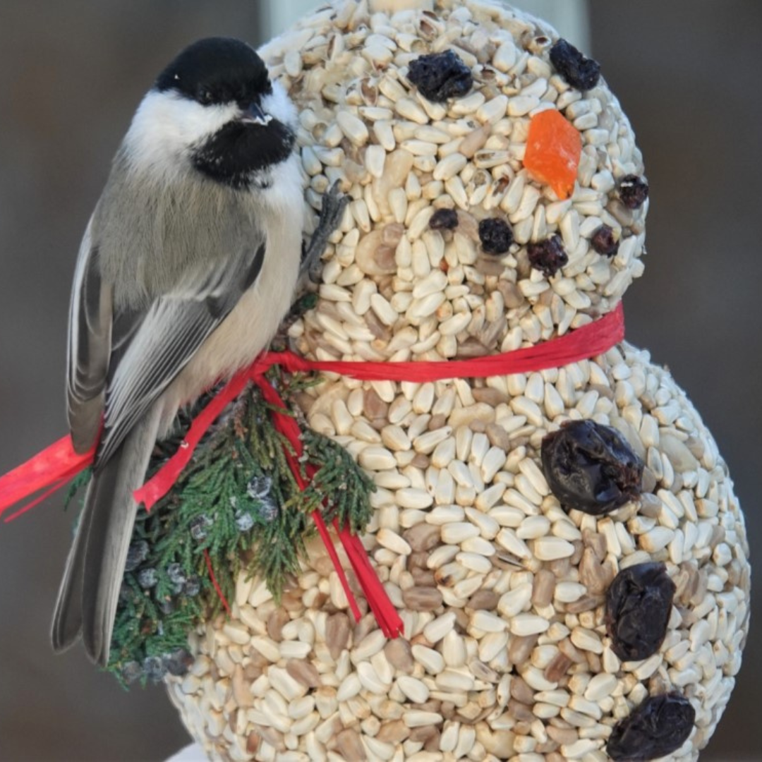 A black-capped chickadee perched on on a snowman shaped seed bird feeder.