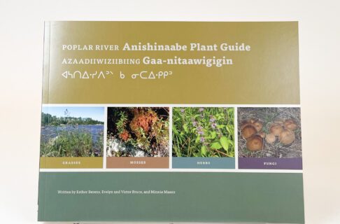A book cover with four photographs featuring grasses, mosses, herbs, and fungi. The title, "Azaadiiwiziibiing Gaa-nitaawigigin / Poplar Rover Anishinaabe Plant Guide" is written in English, Anishinaabemowin, and syllabics