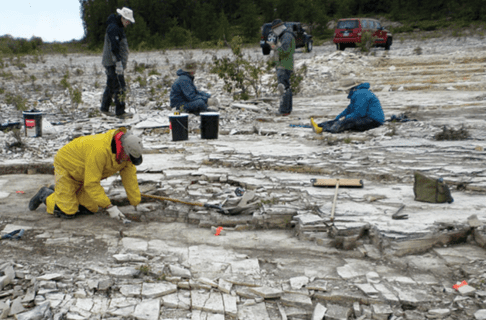 Five individual sitting and standing looking for fossils on a rocky outcropping with buckets and palaeontology tools at hand.