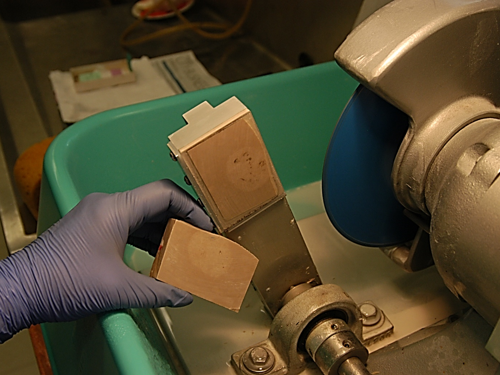 From out of frame a hand wearing a blue rubber glove holds a cut piece of a fossil specimen block. The remainder of the block is attached to the machine arm, near a saw blade. The saw is in a green, high-edged container, with murky water at the bottom.