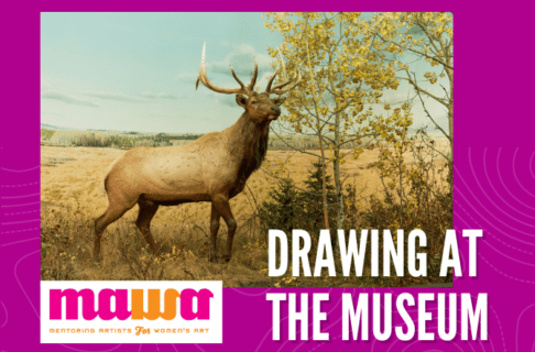 A photograph on a fuchsia background of the Manitoba Museum Elk diorama. Next to the MAWA logo on the lower left, text reads, "Drawing at the Museum".