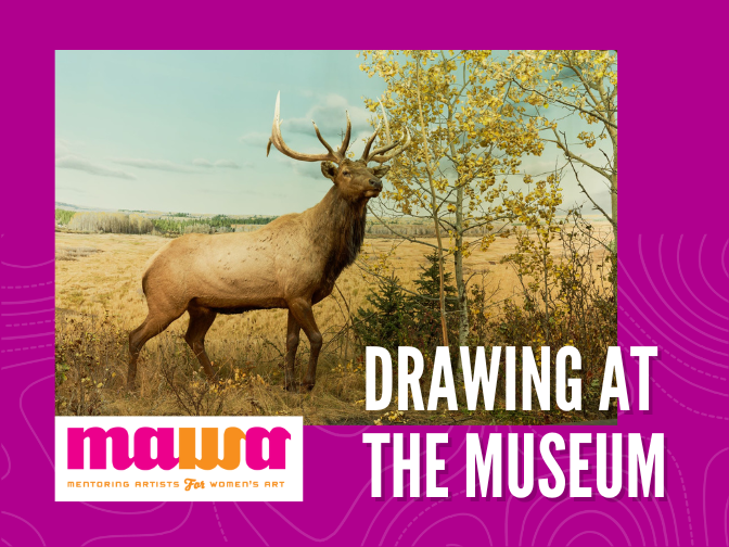 A photograph on a fuchsia background of the Manitoba Museum Elk diorama. Next to the MAWA logo on the lower left, text reads, "Drawing at the Museum".