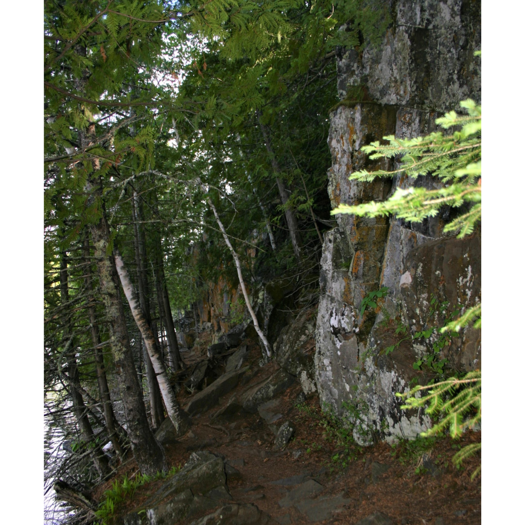 Looking down a path at the base of an uneven rock wall. The rocky and sandy path is lined with trees.