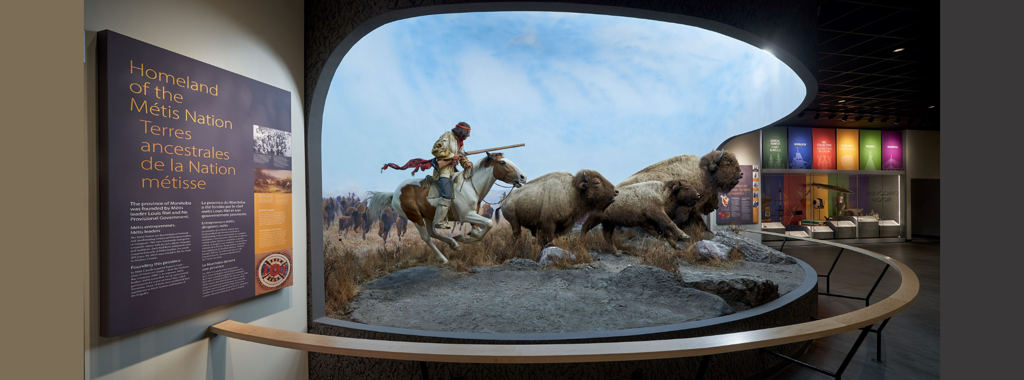 Looking into the Manitoba Museum Welcome Gallery towards the bison diorama. A mannequin of a hunter on horseback holding a rifle, rides after three taxidermied bison. Left of the diorama a text panel is titled, 