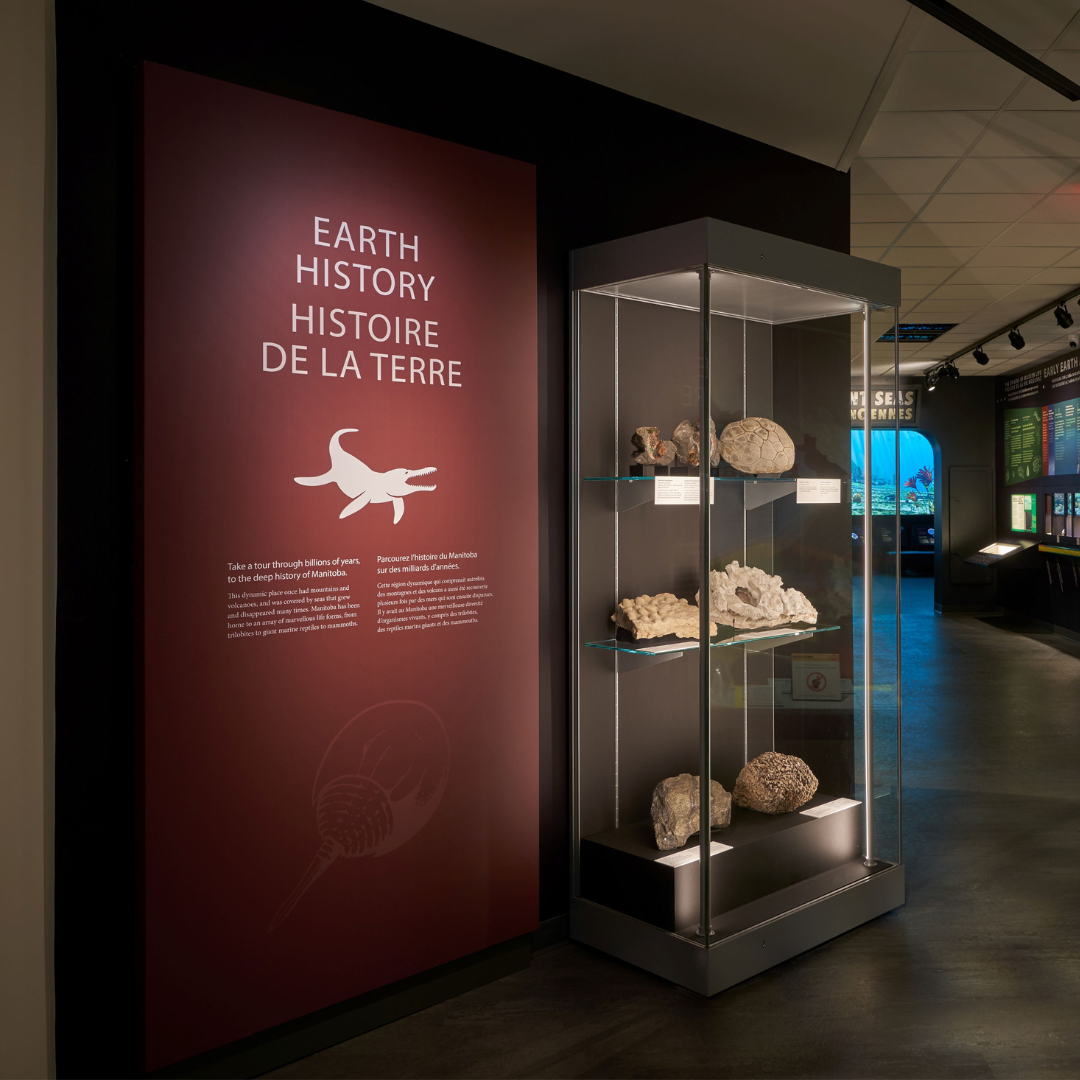 A large red introductory panel titled "Earth History", next to a display case showcasing a number of rocks, minerals, and fossil specimens.