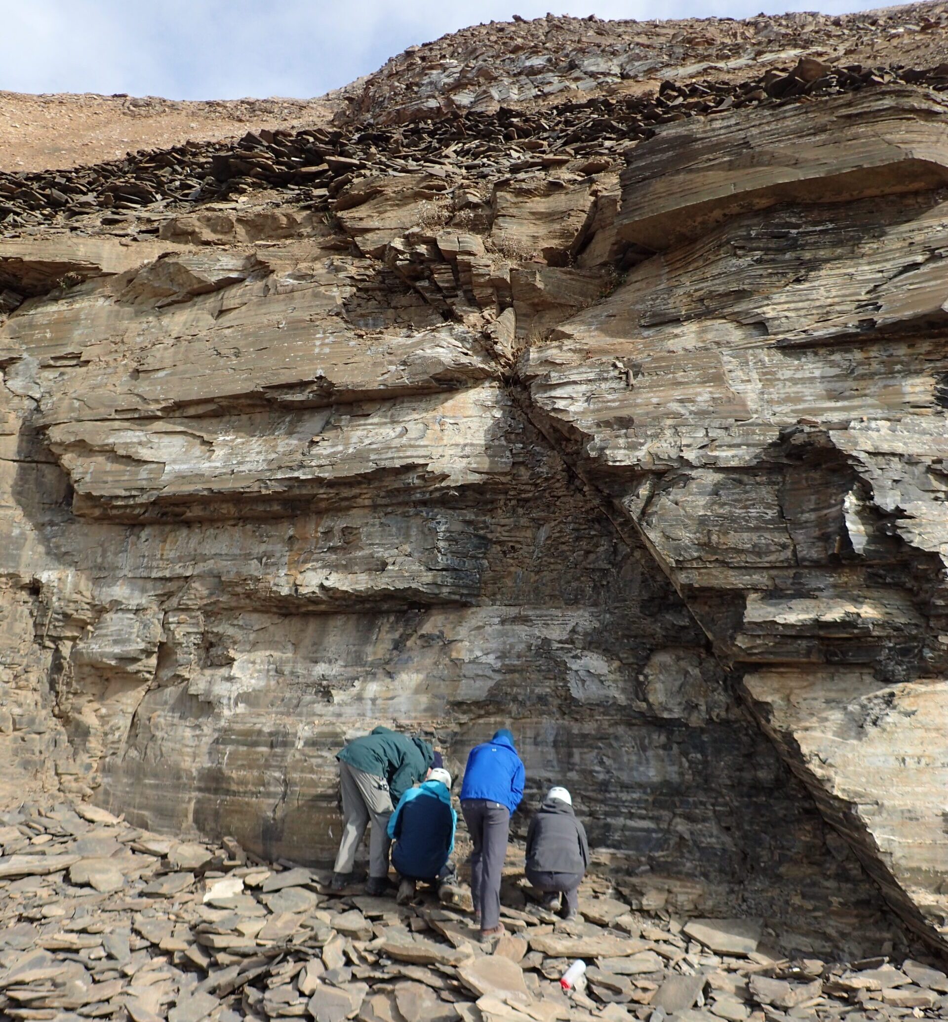 Four people viewing a fossil in Walcott's quarry. The face of the quarry is a vertical cliff about 8 meters high