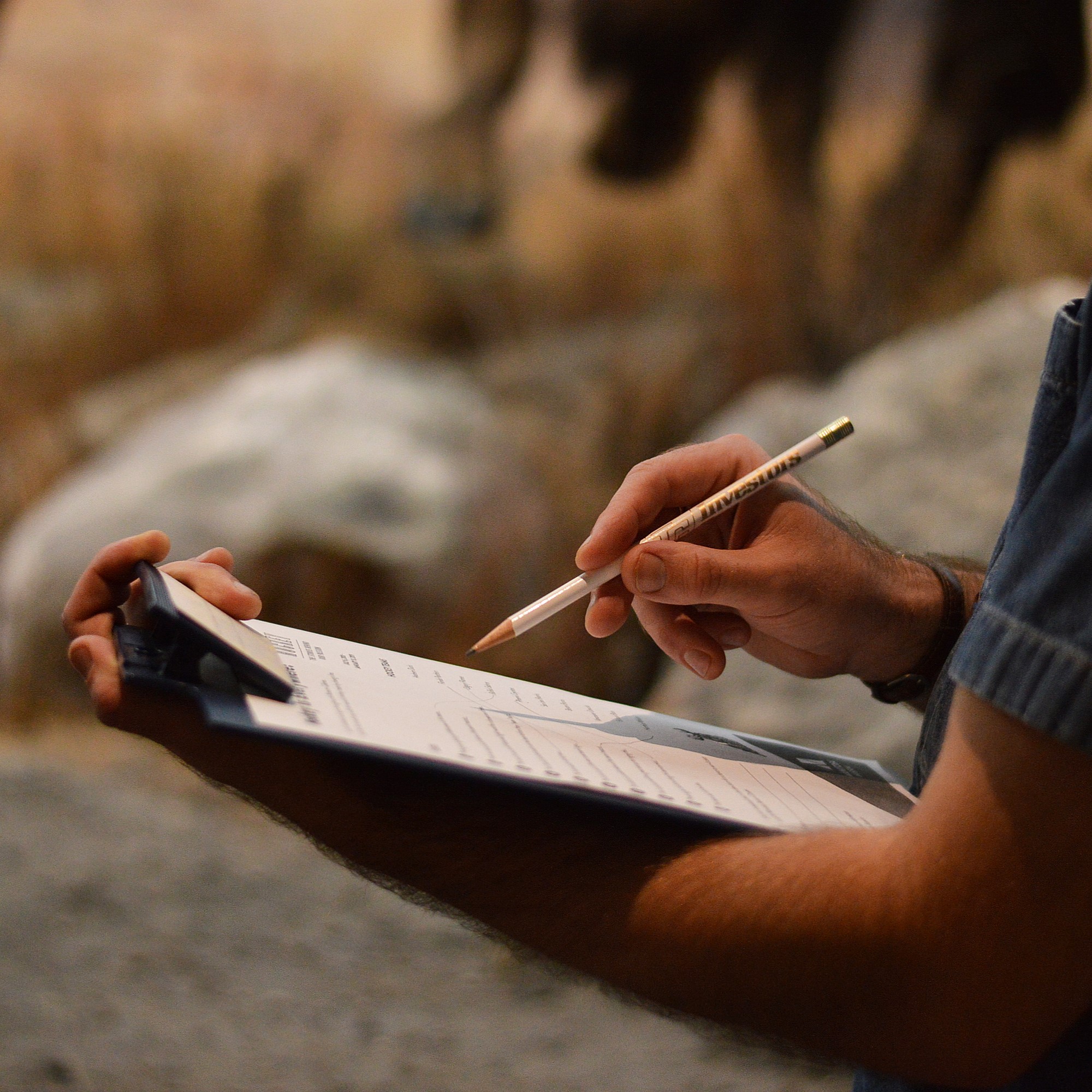 Hand holding a pencil over a paper held in a clipboard. Part of a Museum diorama is blurry in the background.