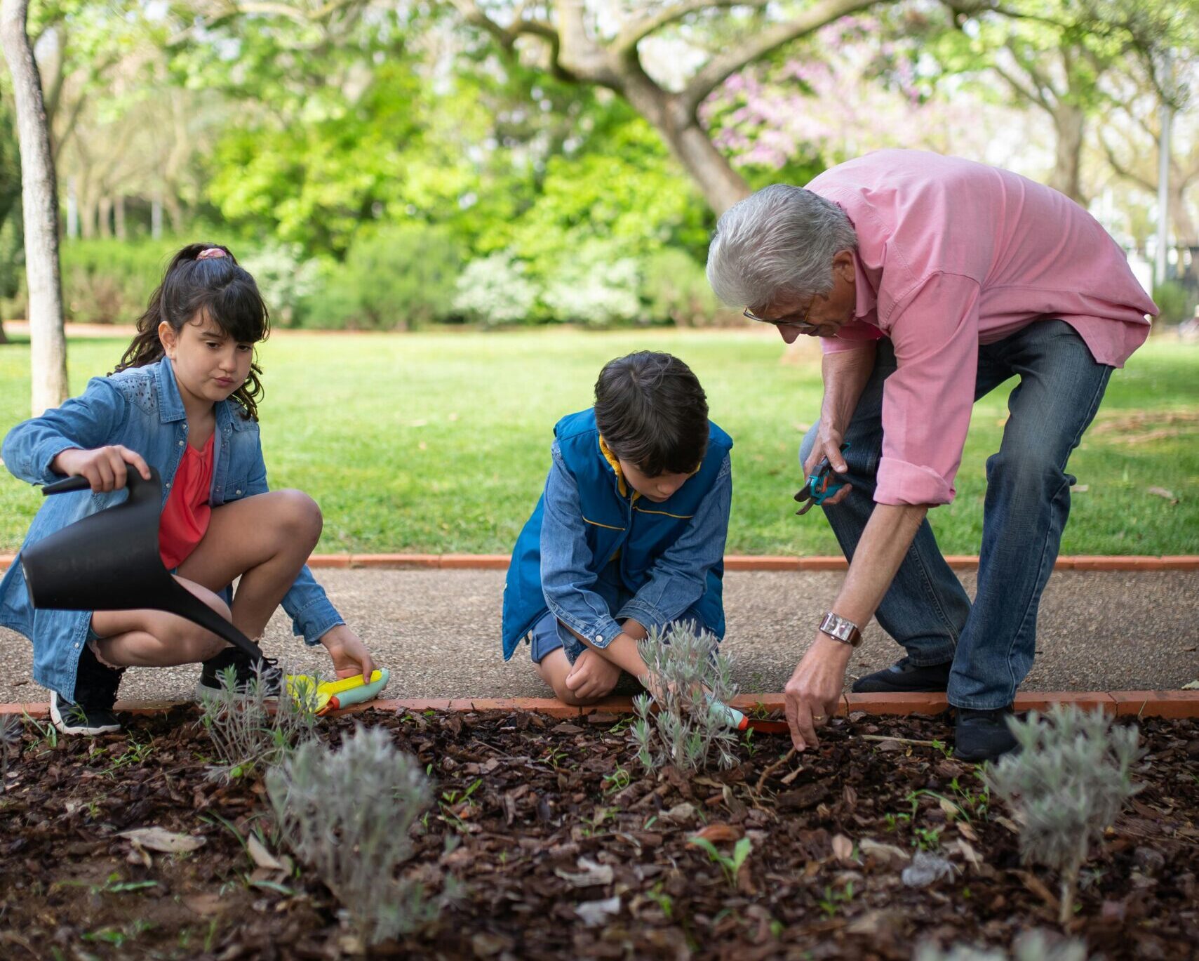 An adult and two children working in a garden bed.