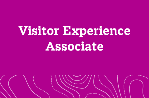 Fuchsia graphic with text reading, "Visitor Experience Associate".