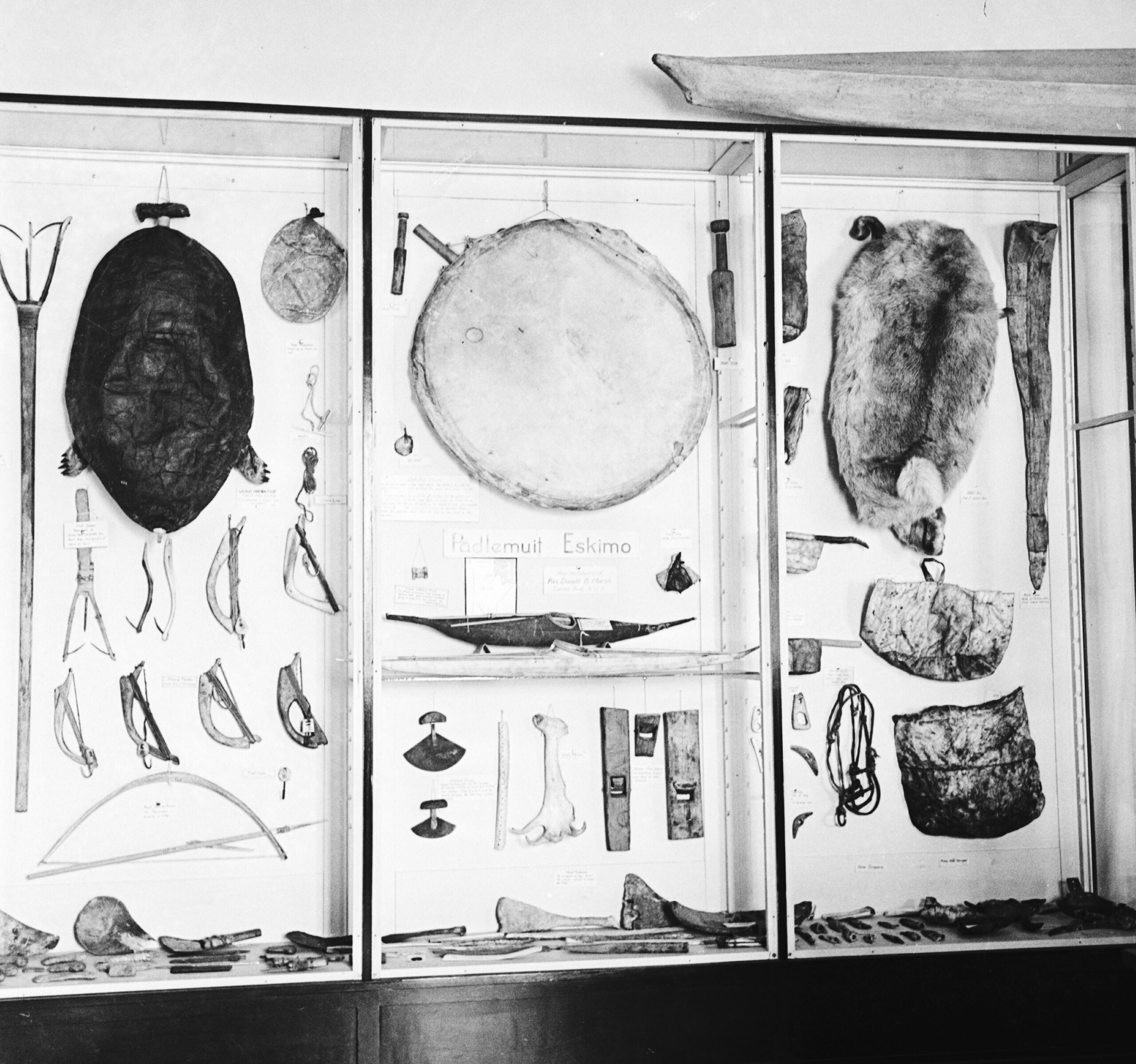 Black and white image of a museum display case housing various artifacts related to the fur trade. 