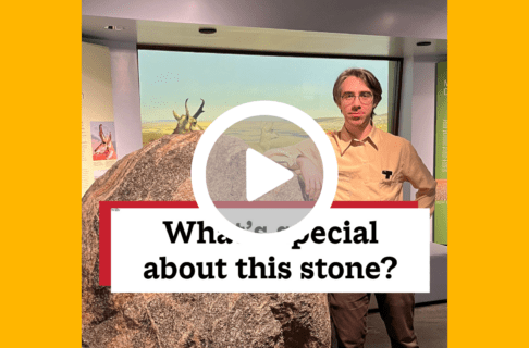 A screenshot of a video, an individual standing next to a large boulder in front of a museum diorama. There's a play button over the screenshot and overlaid text reads, "What's special about this stone?".