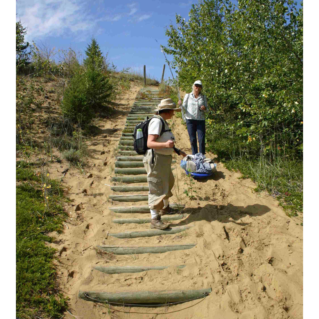 Two individuals part way down a sandy staircase, pulling a small blue sled with carefully wrapped specimens.