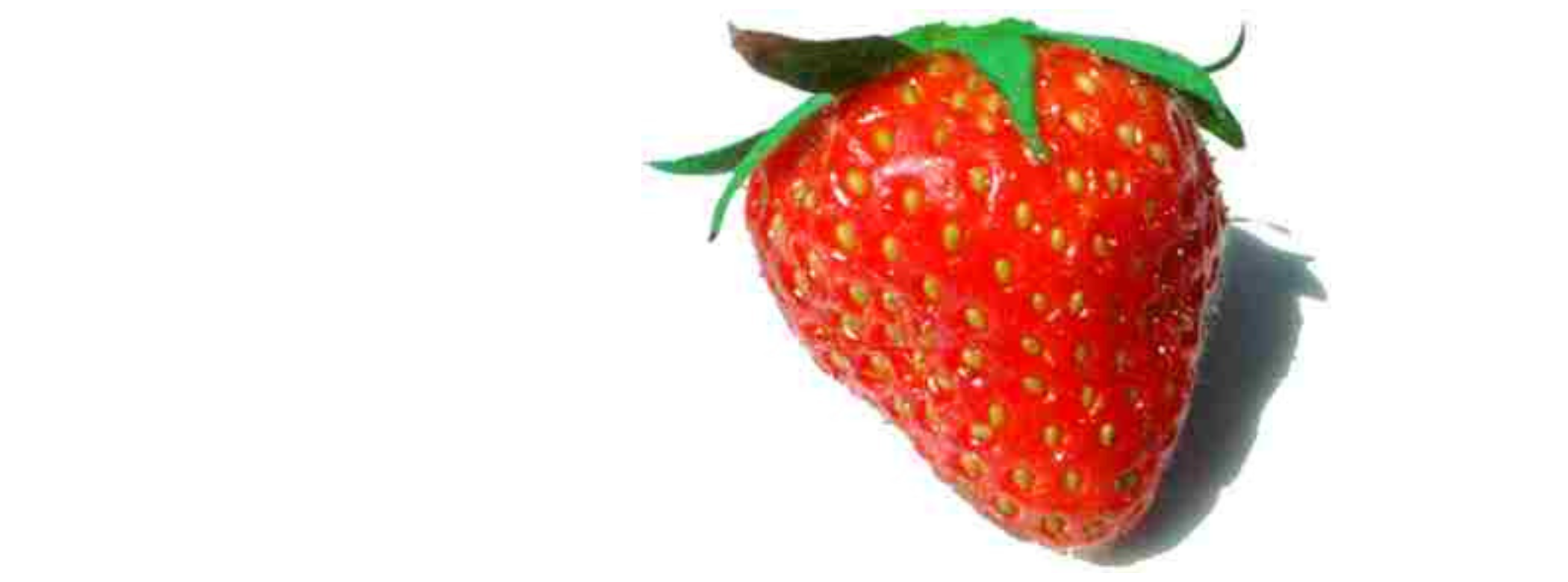 A bright red strawberry with a green top against a white background.