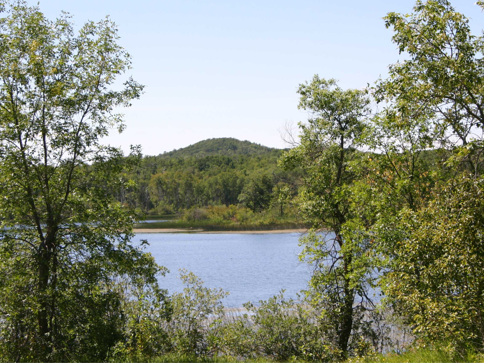 Looking out through a break in trees across a lake to a treed hill, "Turtle Mountain".