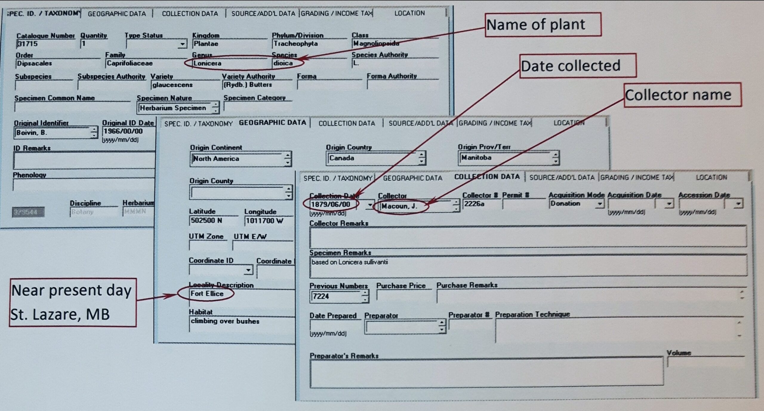 A screenshot of a catalogue entry of a botanical specimen with the sections for name of plant, date collected, location collection, and collector name pointed out.